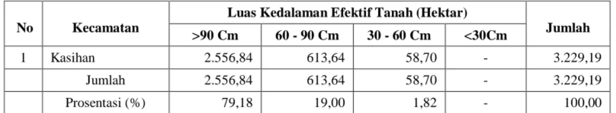 Tabel 26. Luas  Kedalaman Efektif Tanah Kecamatan Kasihan Kabupaten Bantul  Tahun 2013 