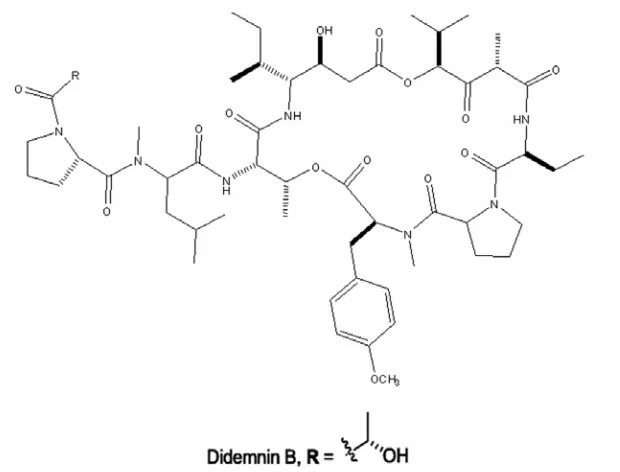 Fig. 1–Chemical structure of didemnin B 