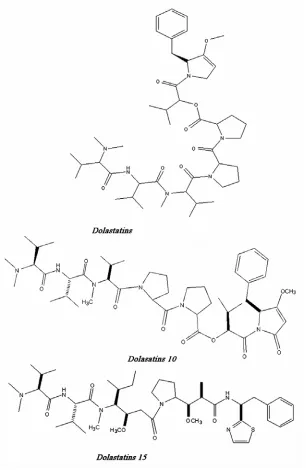 Fig. 2–Chemical structures of dolastatin, dolasatins 10 and dolastatins 15 