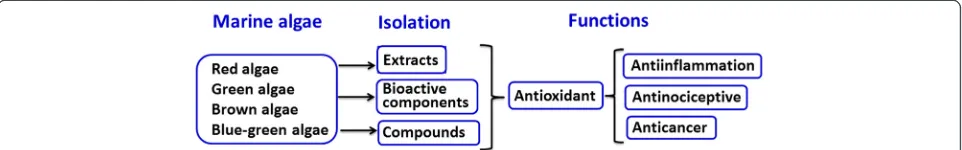Figure 1 Summary of marine algal natural products with anti-oxidative, anti-inflammatory, anti-nociceptive, and anti-cancer properties.