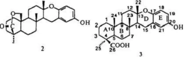 Gambar 3. Struktur dari senyawa Strongylophorine 2 dan Stronggyloporine 3                     yang aktif menghambat Salmonella typhii 