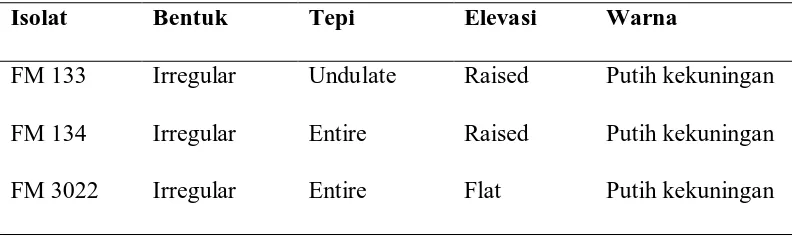 Tabel. 4.2. Morfologi isolat terpilih  