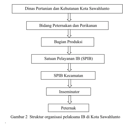 Gambar 2  Struktur organisasi pelaksana IB di Kota Sawahlunto  .  