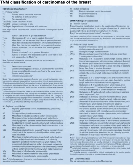 Gambar 2.2 Klasifikasi TNM  Karsinoma Payudara 