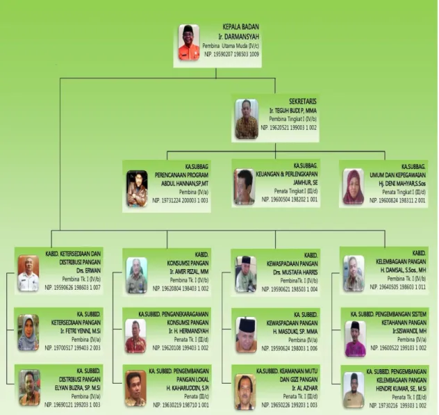 Gambar 1. Struktur Organisasi  Badan Ketahanan Pangan Provinsi Riau 