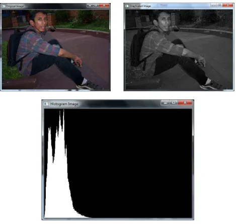 gambar histogram, dan intentsitas matriks. 