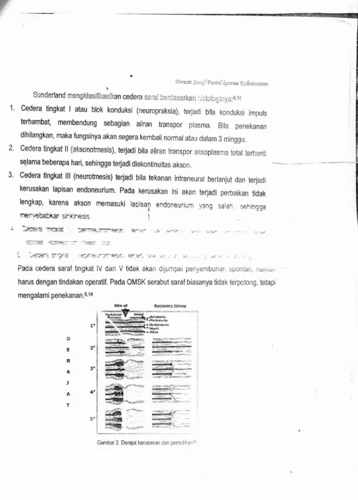 Gambar 2. Derajat kerusakan dan pemulihanl!