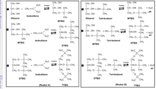 Gambar 4. Reaksi eterifikasi gliserol dengan butilena (reaksi A) dan eterifikasi gliserol dengan tert-butyl alkohol (reaksi B)