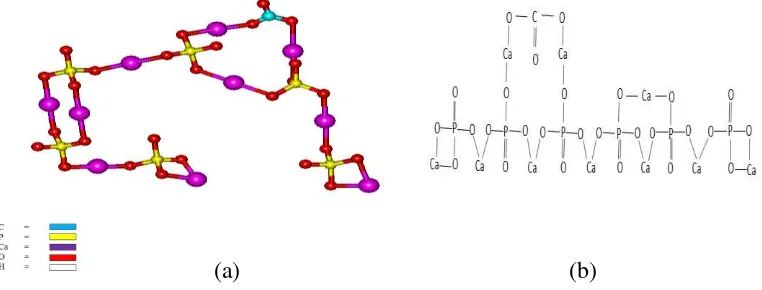 Gambar 4.2  Struktur kimia Ca10(PO4)3(CO3)3(OH)2 (AKB) 
