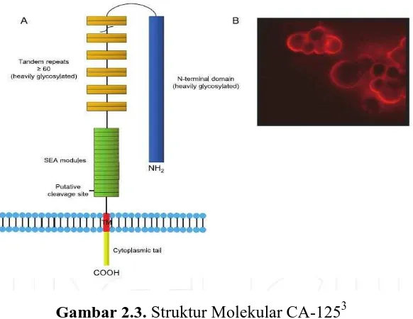 Gambar 2.3. Struktur Molekular CA-1253 