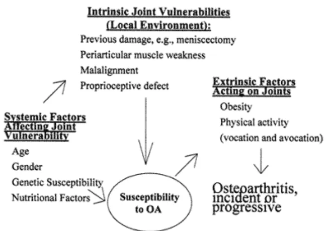 Gambar 1. Konsep Etiopatogenesis Osteoartritis22 