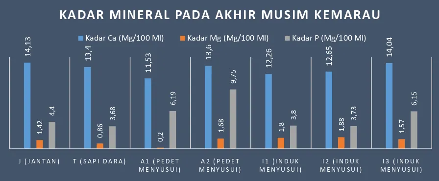 Gambar 1. Jumlah Kadar Mineral Ca, Mg dan P Dari Sampel Serum Sapi Bali di Akhir Musim Kemarau  