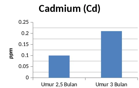 Gambar 4.6. Grafik kadar Cadmium (Cd)  pada biji padi