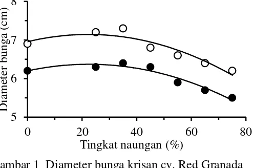 Gambar 1  Diameter bunga krisan cv. Red Granada () dan Gold van Langen () pada beberapa tingkat naungan 