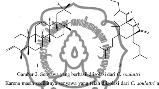 Gambar 2. Senyawa yang berhasil diisolasi dari C. soulattri 