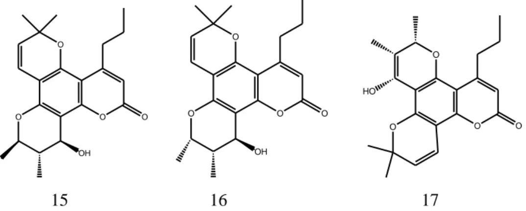 Gambar 8: Struktur  dasar dari tipe piranokumarin 