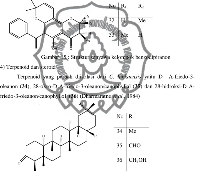 Gambar 15 : Struktur senyawa kelompok benzodipiranon  4) Terpenoid dan steroid 