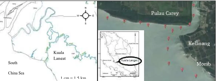 Figure 1.  Kuala Langat coastal area and sampling points (right side) 