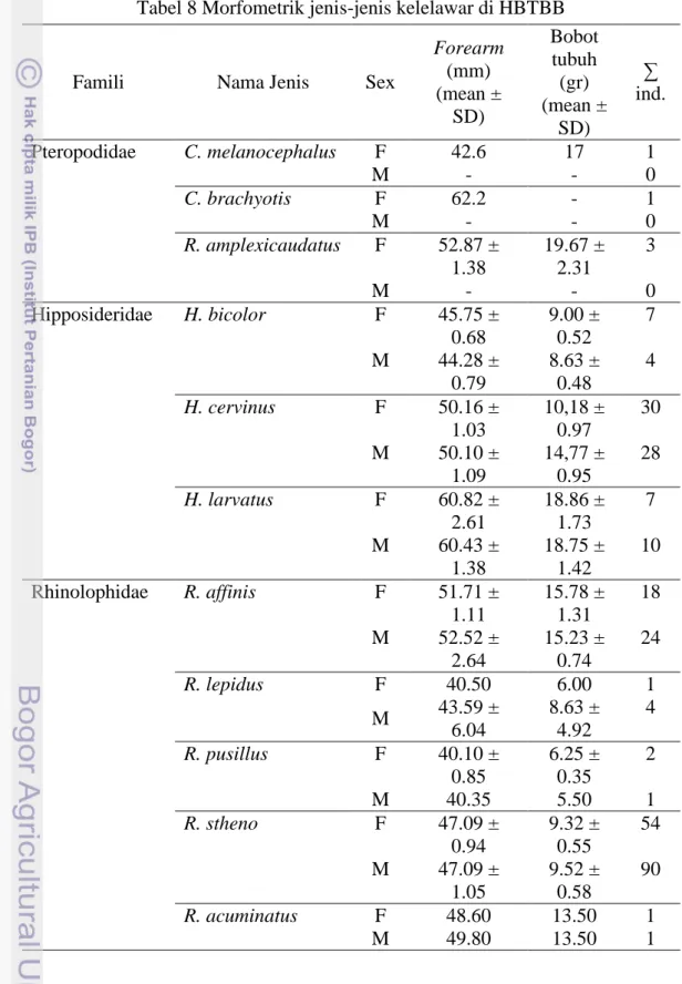 Tabel 8 Morfometrik jenis-jenis kelelawar di HBTBB 