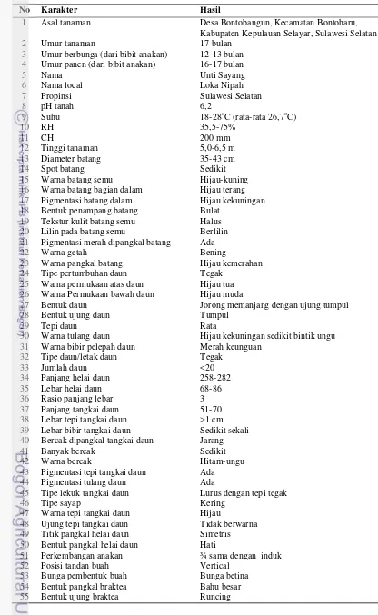 Tabel 1   Deskripsi pisang kepok varietas Unti Sayang (US-1) 