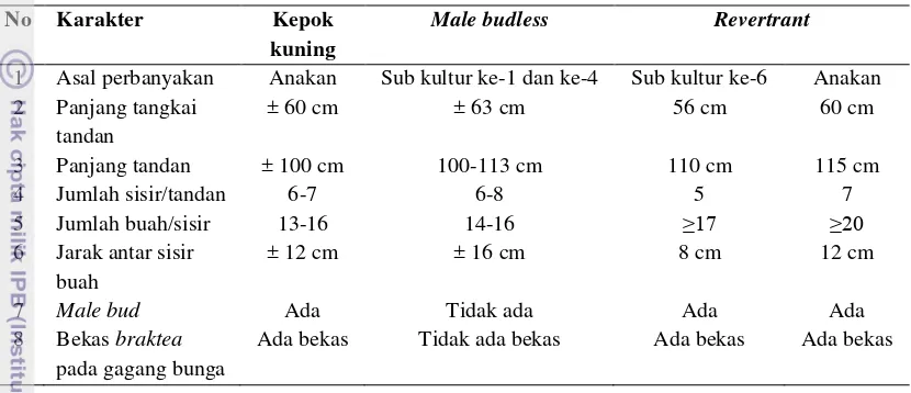 Tabel 5   Karakter morfologi male bud pada mutan pisang kepok Unti Sayang  (US-1) 