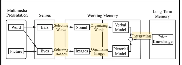 Gambar 2. 3. Cognitive Theory of Multimedia 