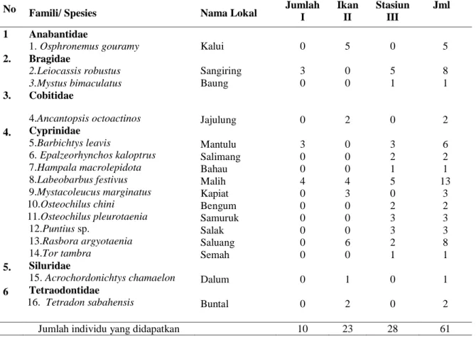 Tabel  1  :    Spesies  ikan  yang  didapatkan  di  Sungai  Tabir  Kecamatan  Tabir  Kecamatan  Tabir  Kabupaten 
