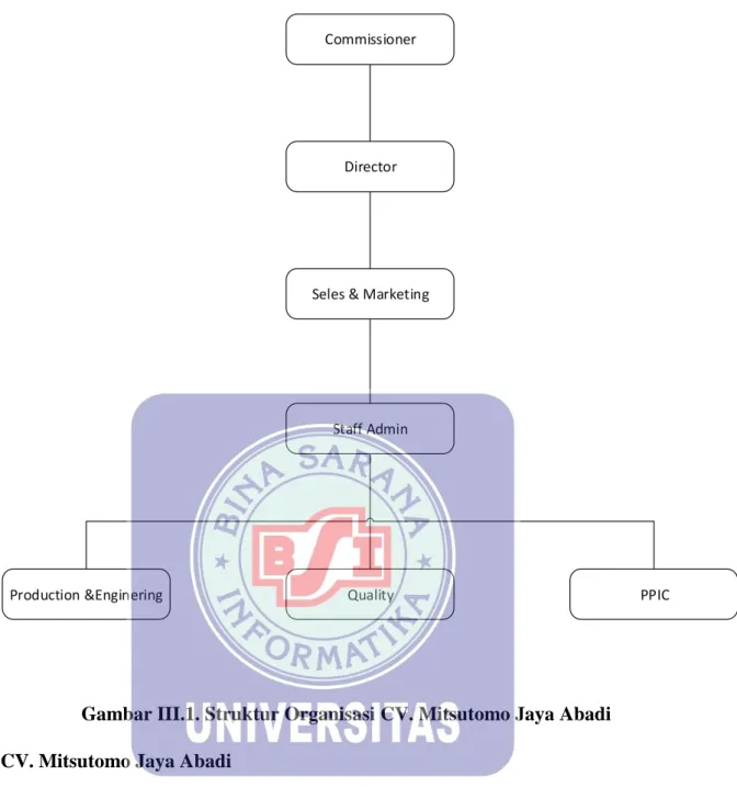 Gambar III.1. Struktur Organisasi CV. Mitsutomo Jaya Abadi  CV. Mitsutomo Jaya Abadi 