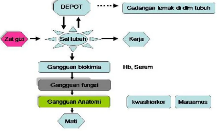 Gambar 2.1. Prinsip Monitoring Gizi