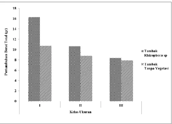 Gambar 5. Pertumbuhan mutlak berat total kerang pada tambak Rhizophora sp  