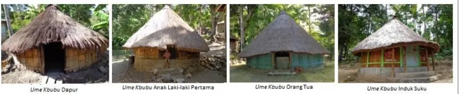 Gambar 1. Jenis Ume kbubu di Desa Kaenbaun 