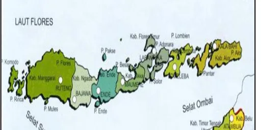 Gambar 2. Peta Kabupaten Ende Sumber : Kab. Ende Dalam Angka 2005 