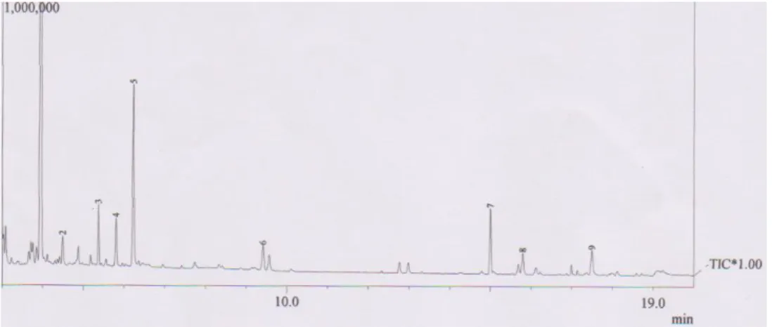 Grafik 2  Kandungan fenol yang terdapat dalam asap cair berbasis cangkansawit. 