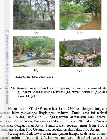 Gambar 2.6. Kondisi areal hutan kota Srengseng: pohon yang kompak dan rapat 