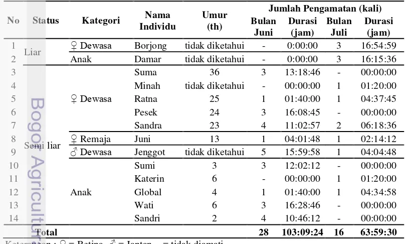 Tabel 2  Daftar orangutan semi liar yang terdapat di PPOS 
