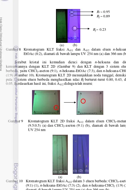 Gambar 8 Kromatogram KLT fraksi A411 dan A412 dalam eluen n-heksana-