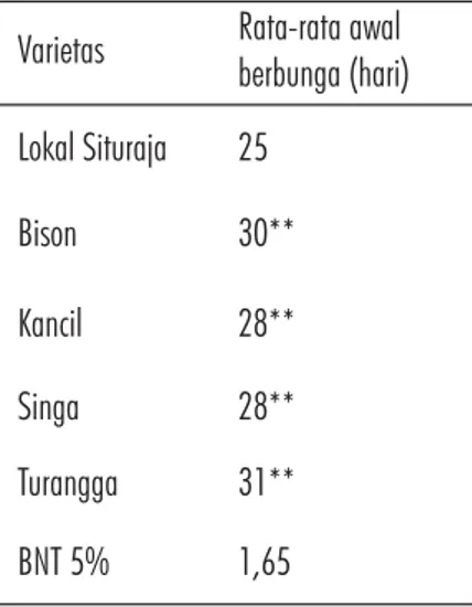 Tabel 3 menunjukkan bahwa umur berbunga kacang tanah varietas Lokal Situraja lebih cepat 2 - 3 hari dibandingkan varietas unggul lainnya