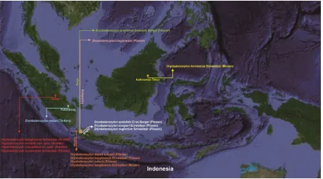 Gambar 6. Ilustrasi sebaran Dryobalanoxylon di Indonesia  (Sumber data : Bande dan Prakash, 1986; Mandang dan  Kagemori, 2004).