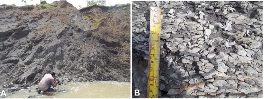 Gambar 3.   (A) Kondisi lereng batulempung Formasi Subang dengan kehadiran alur-alur air yang mengerosi lereng
