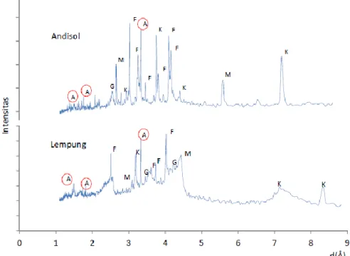 Gambar 6.  Difraktogram XRD lempung dan andisol 