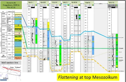 Figure 5.  Well correlation of SW-NE section, flatten at 0 SSTVD (subsea true vertical depth in feet)