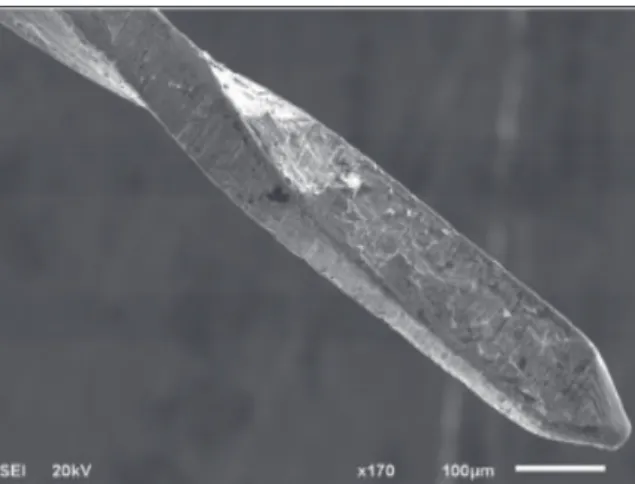 Figure 8. SEM of middle third of KF 25 instrument with cor- cor-rosion 