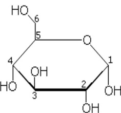 Gambar 4 Proyeksi Haworth struktur glukosa (�-D-glukopiranosa)18 