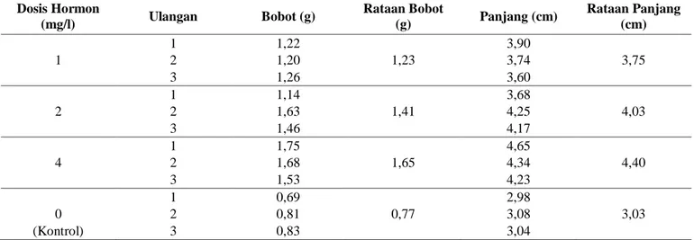 Tabel 4.  Bobot dan panjang ikan tetra Kongo (Micraleptus intterruptus) setelah berumur 3 bulan  Dosis Hormon  (mg/l)  Ulangan  Bobot (g)  Rataan Bobot (g)  Panjang (cm)  Rataan Panjang (cm)  1  1 2  3  1,22 1,20 1,26  1,23  3,90 3,74 3,60  3,75  2  1 2  3