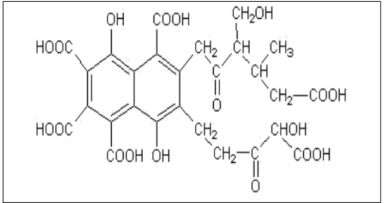 Gambar 2.2  Struktur model asam fulvik (Buffle, 1977) 
