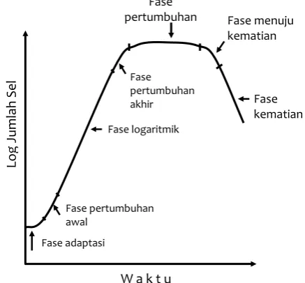 Gambar 27.  Kurva pertumbuhan mikroba 