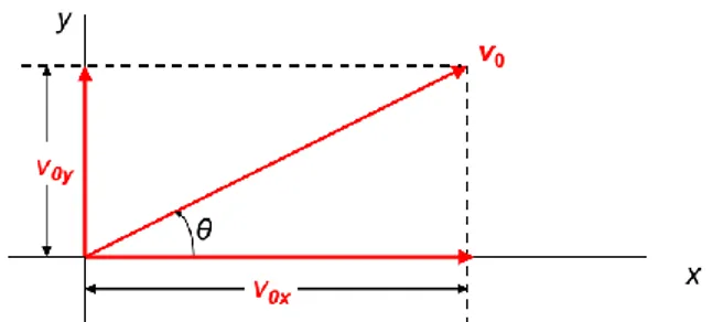 Gambar 1. Komponen-komponen kecepatan awal sebuah proyektil dengan    adalah sudut antara  v 0  dengan  sumbu horizontal x