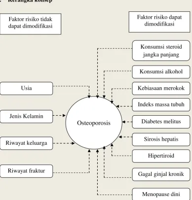 Gambar 2. Kerangka konsep 