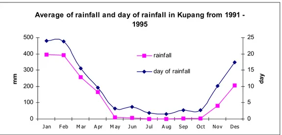 Gambar 1. Rataan curah hujan dan hari hujan di Kupang dari tahun 1991 - 1995 