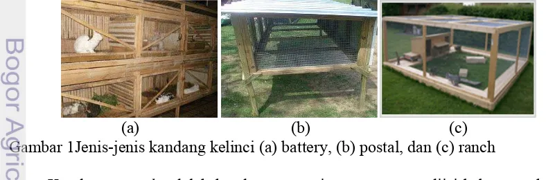 Gambar 1Jenis-jenis kandang kelinci (a) battery, (b) postal, dan (c) ranch 